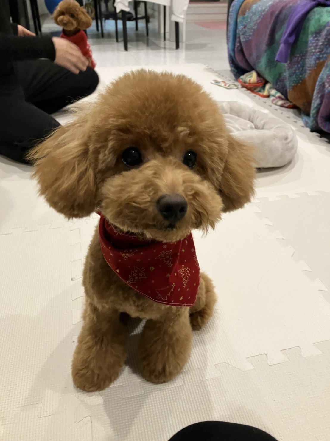 お役立ち情報の記事サムネイル